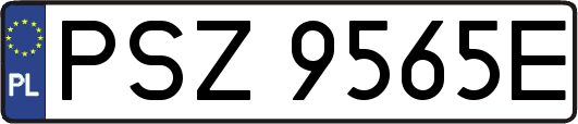 PSZ9565E