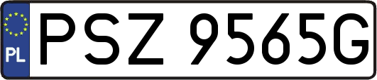 PSZ9565G