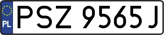 PSZ9565J