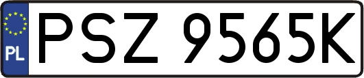 PSZ9565K