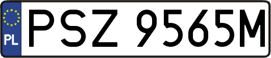 PSZ9565M
