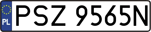 PSZ9565N