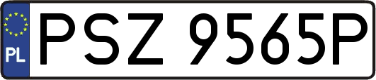 PSZ9565P