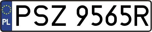 PSZ9565R
