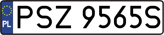 PSZ9565S