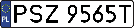 PSZ9565T