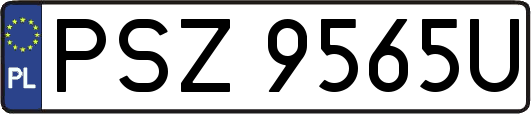 PSZ9565U