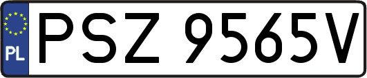 PSZ9565V