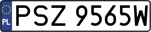 PSZ9565W