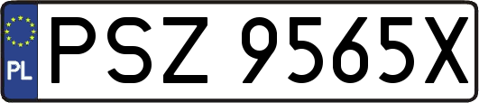 PSZ9565X