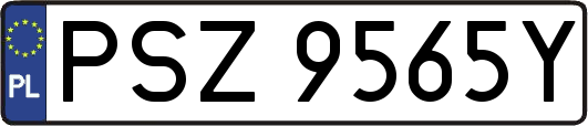 PSZ9565Y