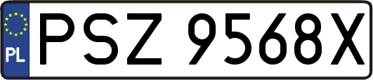 PSZ9568X