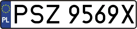 PSZ9569X