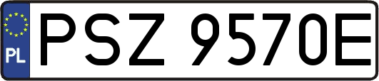 PSZ9570E
