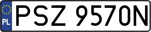 PSZ9570N