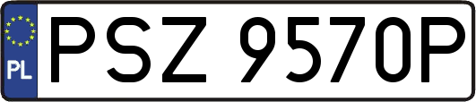 PSZ9570P