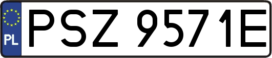 PSZ9571E