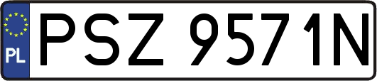 PSZ9571N