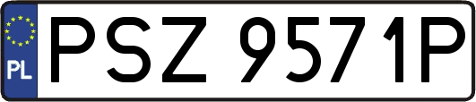 PSZ9571P