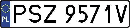 PSZ9571V