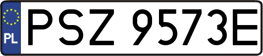 PSZ9573E