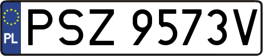 PSZ9573V