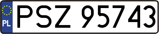 PSZ95743