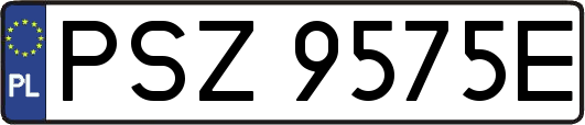 PSZ9575E