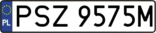 PSZ9575M