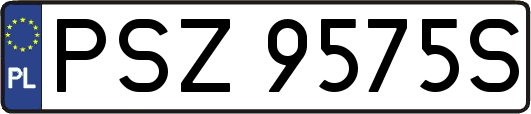 PSZ9575S