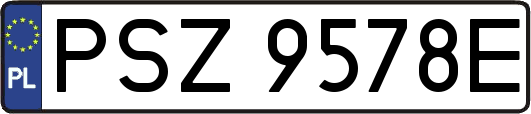 PSZ9578E