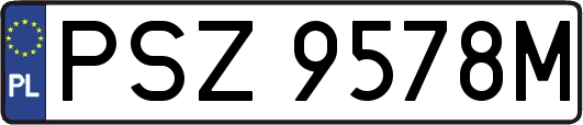 PSZ9578M