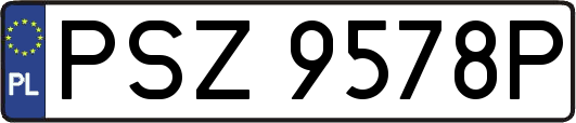PSZ9578P