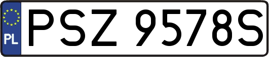 PSZ9578S