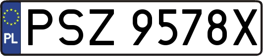PSZ9578X