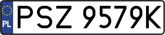 PSZ9579K