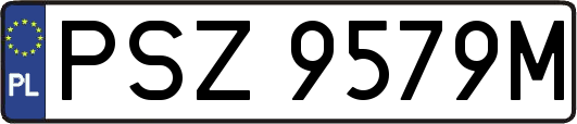 PSZ9579M