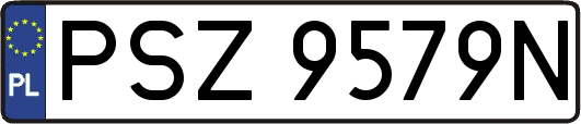 PSZ9579N