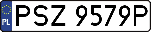 PSZ9579P