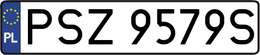 PSZ9579S