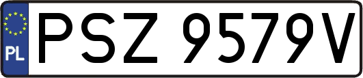 PSZ9579V