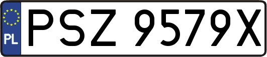PSZ9579X