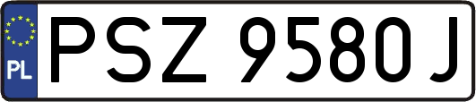 PSZ9580J