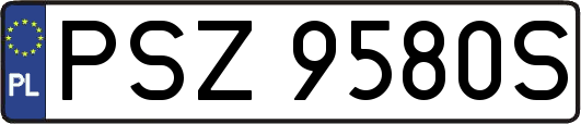PSZ9580S
