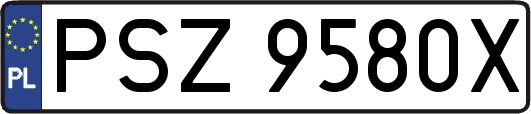 PSZ9580X