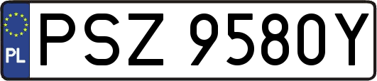 PSZ9580Y