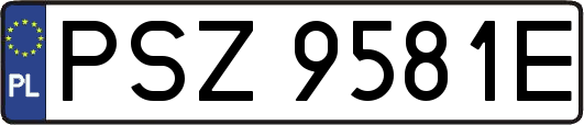 PSZ9581E