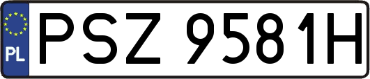 PSZ9581H