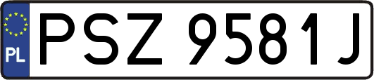 PSZ9581J