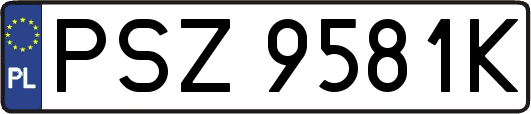 PSZ9581K